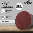 Круг абразивный шлифовальный под «липучку» ТУНДРА, 180 мм, Р120, 5 шт. - Фото 1