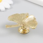 Ручка для шкатулки металл "Лист веер" золото 5х5,4 см - фото 22774859