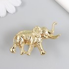 Ручка для шкатулки металл "Индийский слон" золото 3,3х5,8 см - фото 10977077