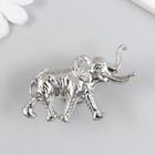 Ручка для шкатулки металл "Индийский слон" серебро 3,3х5,8 см - фото 1369367