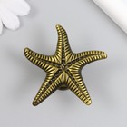 Ручка для шкатулки металл "Морская звезда" бронза 5,3х5,3х2,3 см - фото 1369417