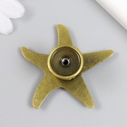 Ручка для шкатулки металл "Морская звезда" бронза 5,3х5,3х2,3 см - фото 7355094