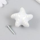 Ручка для шкатулки керамика, металл "Моская звезда" белая 4,6х4,6х3,3 см - фото 320074042