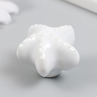 Ручка для шкатулки керамика, металл "Моская звезда" белая 4,6х4,6х3,3 см - фото 22774987