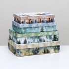 Набор коробок 4 в 1 "Зимние чудеса", 30 х 20 х 8 - 24 х 14 х 5 см - фото 7372466
