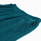 Пижама женская (футболка, шорты), размер 46, цвет изумрудная полоса - фото 23013932