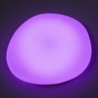 Люстра "Беатрис" ПДУ RGB 60Вт 2700-6400К 4500Лм упр. Алисой 40х44х8см - фото 22842287