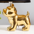 Настольная лампа "Бернард" 1х40Вт Е14 провод-1,6м золото 21х21х30см - фото 22812952