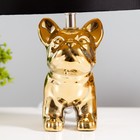 Настольная лампа "Бернард" 1х40Вт Е14 провод-1,6м золото 21х21х30см - фото 22812953