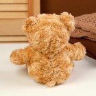 Мягкая игрушка «Медведь», с бантиком, 20 см, цвет бежевый - Фото 4