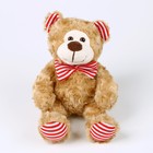 Мягкая игрушка «Медведь», с бантиком, 20 см, цвет бежевый - Фото 5