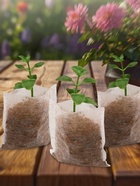 Пакет для рассады, 5×7 см, спанбонд плотностью 25 г/м², Greengo - Фото 4