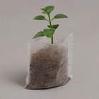 Пакет для рассады, 5×7 см, спанбонд плотностью 25 г/м², Greengo - Фото 6