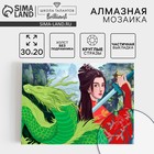 Алмазная мозаика с частичным заполнением на холсте «Девушка с драконом», 20×30 см - Фото 1