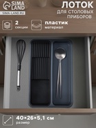 Лоток для столовых приборов и ножей FOLYlife, 40×26×5.1 см, 2 отделения, пластик, серый, чёрный - Фото 1