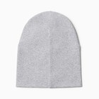 Шапка для мальчика, цвет серый меланж, размер 46-50 9931326