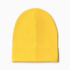 Шапка для мальчика, цвет горчичный, размер 54-58 - фото 22864726