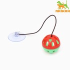 Шарик для кошек, 4 см, на присоске с бубенчиком, красная, зелёная - Фото 1