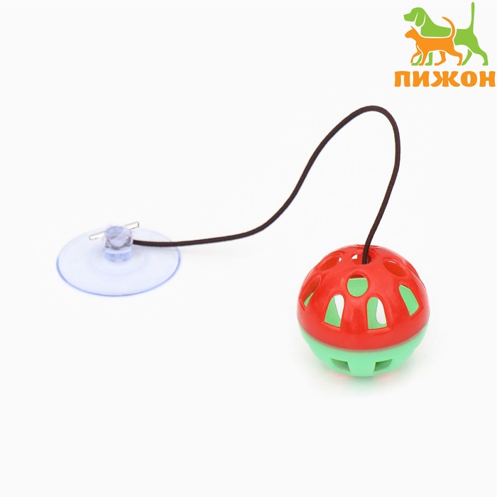 Шарик для кошек, 4 см, на присоске с бубенчиком, красная, зелёная - Фото 1