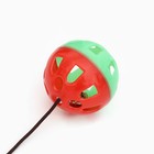 Шарик для кошек, 4 см, на присоске с бубенчиком, красная, зелёная - Фото 2