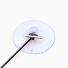 Шарик для кошек, 4 см, на присоске с бубенчиком, красная, зелёная - Фото 3