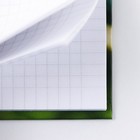 Блокноты в твердой обложке А7, 64 л «Енот» - Фото 3