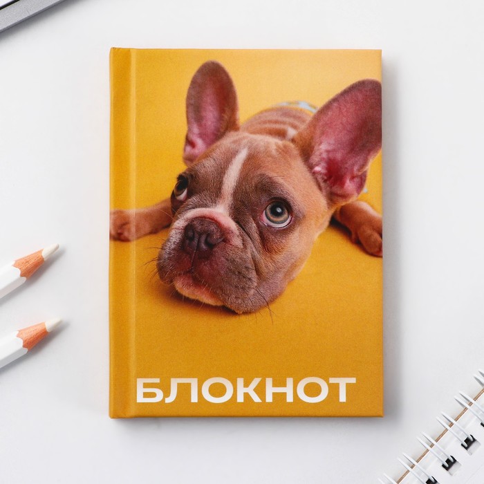 Блокноты в твердой обложке А7, 64 л «Собака» - Фото 1