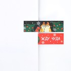 Новый год. Стикеры-закладки «Время загадывать желания», 9 шт, 30 л - Фото 3