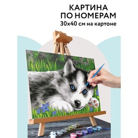 Картина по номерам на картоне 30 × 40 см «Голубоглазый пушистик», с акриловыми красками и кистями