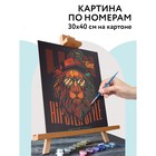 Картина по номерам на картоне 30 × 40 см «Стильный постер», с акриловыми красками и кистями 9866930 - фото 10971909