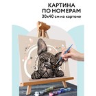 Картина по номерам на картоне 30 × 40 см «Французский бульдог», с акриловыми красками и кистями - Фото 1