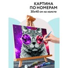 Картина по номерам на холсте 30 × 40 см «Кошачий космос», с акриловыми красками и кистями - фото 320077110