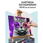 Картина по номерам на холсте «Кошачий космос», 30 × 40 см, с акриловыми красками и кистями - фото 22768313