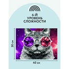 Картина по номерам на холсте 30 × 40 см «Кошачий космос», с акриловыми красками и кистями - Фото 4