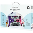 Картина по номерам на холсте «Кошачий космос», 30 × 40 см, с акриловыми красками и кистями - фото 22768317