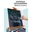 Картина по номерам на холсте 30 × 40 см «Мистический кот», с акриловыми красками и кистями - фото 1369925