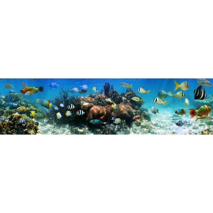 Фотосетка, 600 × 155 см, с фотопечатью, «Оживлённый риф»