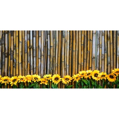 Фотосетка, 320 × 155 см, с фотопечатью, «Бамбуковый забор и подсолнухи»