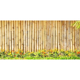 Фотосетка, 320 × 155 см, с фотопечатью, «Бамбуковый забор»
