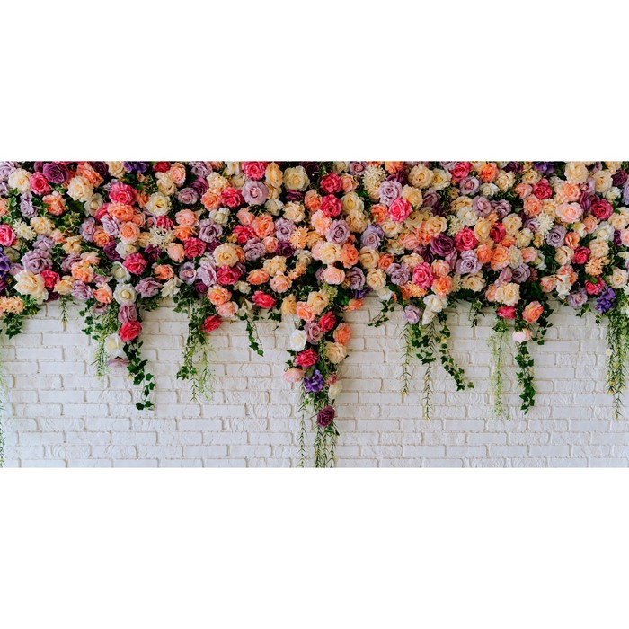 Фотосетка, 320 × 155 см, с фотопечатью, «Розы на белой кирпичной стене» - Фото 1