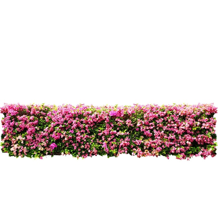 Фотосетка, 320 × 155 см, с фотопечатью, «Цветочная изгородь»