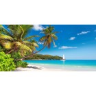 Фотосетка, 320 × 155 см, с фотопечатью, «Пляж с пальмами» - фото 303335633