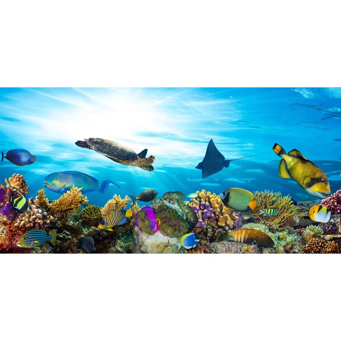 Фотосетка, 320 × 155 см, с фотопечатью, «Океанариум» - Фото 1