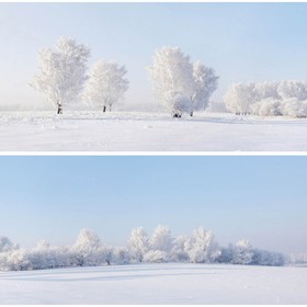 Фотосетка, из двух полотен по 320 × 155 см, с фотопечатью, «Зимние просторы»