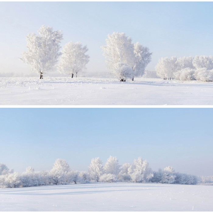 Фотосетка, из двух полотен по 320 × 155 см, с фотопечатью, «Зимние просторы» - фото 1909295681
