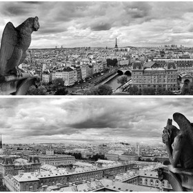 Фотосетка, из двух полотен по 320 × 155 см, с фотопечатью, «Вид на Париж»