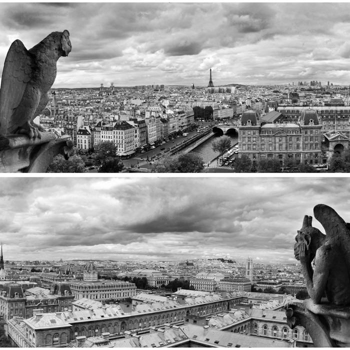 Фотосетка, из двух полотен по 320 × 155 см, с фотопечатью, «Вид на Париж» - фото 1909295683