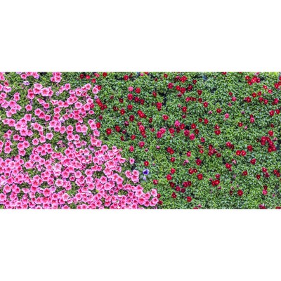 Фотосетка, 320 × 155 см, с фотопечатью, «Цветочный ковёр»