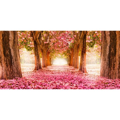 Фотосетка, 320 × 155 см, с фотопечатью, «Розовые лепестки»