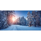Фотосетка, 320 × 155 см, с фотопечатью, «Зимняя дорога» - фото 291744418